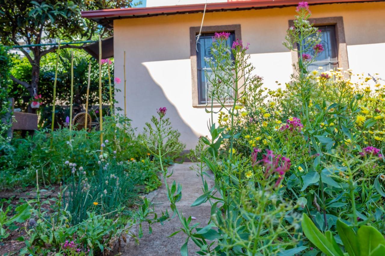 Vila Little Garden House Rijeka Exteriér fotografie